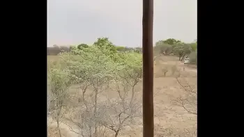 ANAL SEX WITH A BLOND TEEN IN SOUTH AFRICA VACANTION