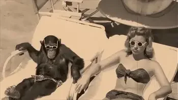 Vintage Taboo, Pussy & Pooch