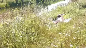 A casual passerby young guy saw a naked Milf sunbathing on river bank. Peeping. Spy camera. Naked in public. Nude beach. Wild beach