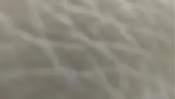 POV ANAL drilling a beautiful latina ass