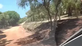 Fui na praia de nudismo chupara a rola grande do negão safado