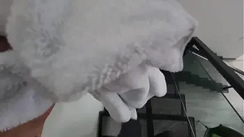 The service employee is fucked by her boss after making a mistake