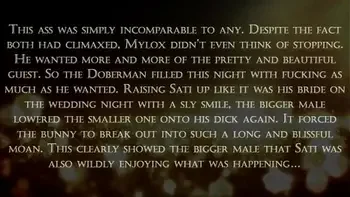 The Special Offer ( Furry / Yiff )