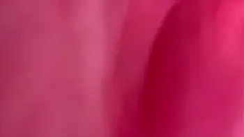 Horny Stepmother Showing Her Massive Dick and ask Stepson to Suck and Lick it in Hotel Room