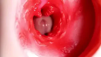 This beautiful pussy is pulsating and squeezing my cock! Camera inside the hole!