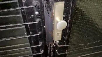 I fuck my teen blonde neighbor while I was on vacation