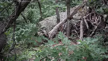 Redhead Fucks Dildo Outside In Dinosaur Costume