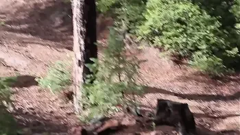 Squirting By A Dirt Road