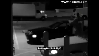 Security Camera Captures Blowjob on Car