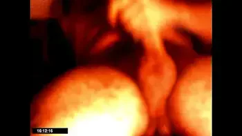 pajota iberica con tool