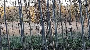 Sex on nature with corona mask