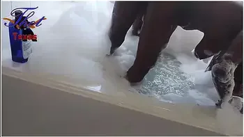 Thot In Texas - Stranger Creampie Interracial Fucking A Fan In Hews Bareback