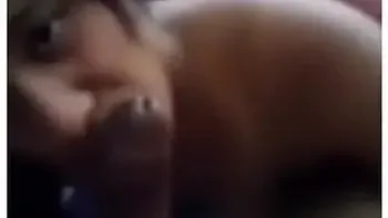 Coloured From Jefferys Bay Giving Blowjob