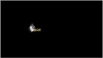 Brittney White - White Perv Drills Busty Black teen 18+