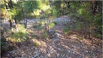 Big Titty Latina Step Sis Wanted To Fuck In A National Park - Cami Strella