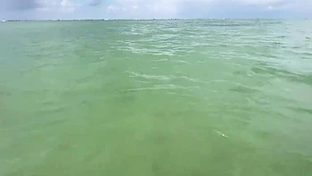 Public Beach Anal Creampie with Screwdriverzz - Risky Outdoor Doggy Style