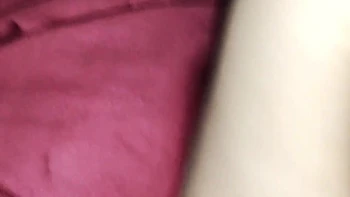 Indian Desi Sex With Old Boyfriend Xxx Hot Desi Girl Sex