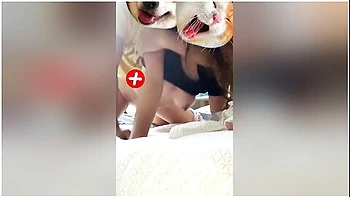 Solid Pagkakantot Nito, Sobrang Namaga Ag Napula