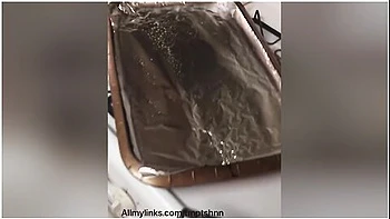 Tmptshns Animal Fries