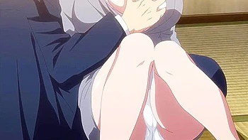 Hentai Anime And Anime Hentai In Secret Mission Sennyuu