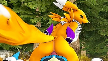 Renamon And Lucario