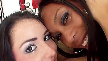 Watch Magnificent And Falco Zitos