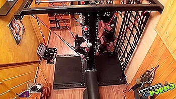 Amorous Aris Darks Tits Clip