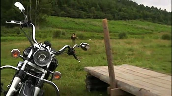 VEF013-GQZUQFLJQQ162496776