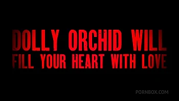 Dolly Orchid Gets Destroyed By Jimmy Bud