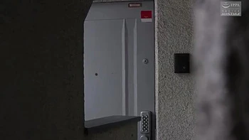 EAHXCMDVVMVECBWCMM42NSFS381