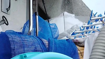 x2x06398DE0748660F632