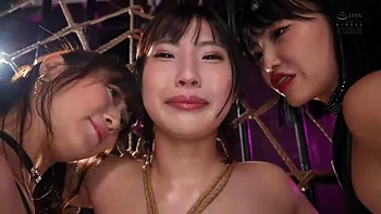 x3x2E0841760CF044E24E