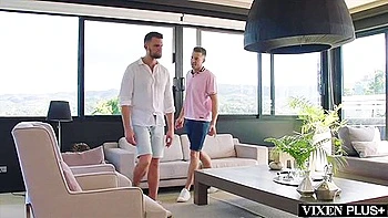 Dp Queens Vol 4 Compilation