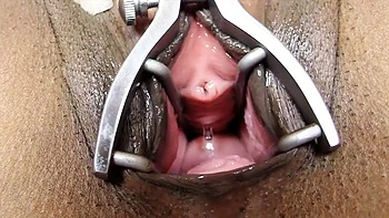 In The Crack2: Big Tits, Bongacams  Ebony Porn