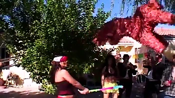 HG 49.: Blowjob, Doggy  Cowgirl Porn