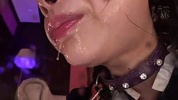 x1xDD8E19273C85E87EA3