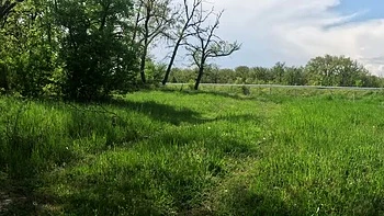 Za Za the MILF Slave Walks Naked on Highway in Stockings & Heels