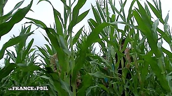 Full Redhead Bitch Analized Outdoor