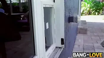 Doggy Style at The Doggie Door Jocelyn Stone