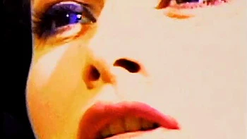 Petite brunette in black nylons twat fucked