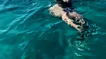 Clear Skys Blue Water With The Perfect Babe Angel Youngs