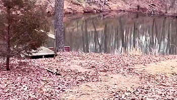 Natural Amateur blowjob outdoors exposed