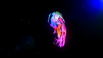 Perfect tootsie's cute dirt