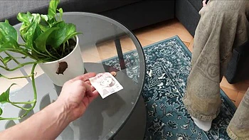 VIP 4K - shaved porn