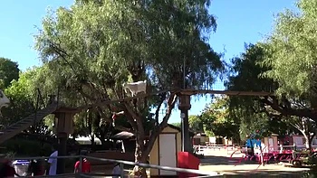 Dez Hansen In Farm Date 1