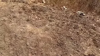 MYSTIQUE AND JESSY JONES (NEVER SEEN B4)