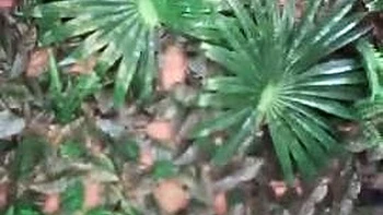 Cute amateur webcam teen girl toying pussy on webcam