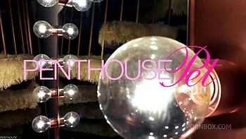 Pet of the Month October 2020