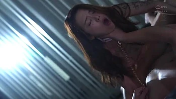 x1x8D412C7C5BD3974550