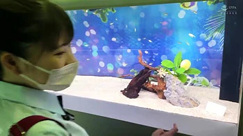 0011200_可愛い 美少女JK おもらしなどが含まれている